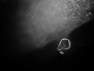 The Fisherman The Fisherman