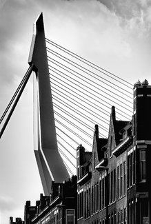 Erasmusbridge & houses Erasmusbridge & houses