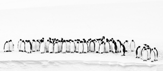 Family Portrait Family Portrait