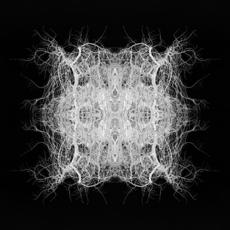 Winter Abstraction #220 Winter Abstraction #220