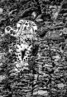 Beautiful but Deadly Beautiful but Deadly