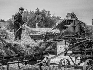 The Old Ways The Old Ways