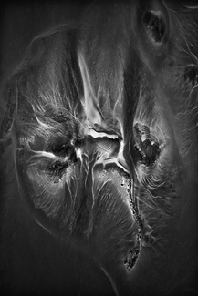 poetry of silence XXXVI-1 poetry of silence XXXVI-1