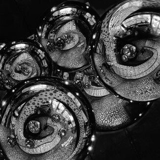 Seeing In Circles Seeing In Circles