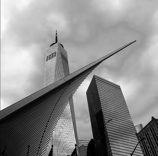 Freedom Soars Freedom Soars