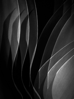 Harmonics Harmonics