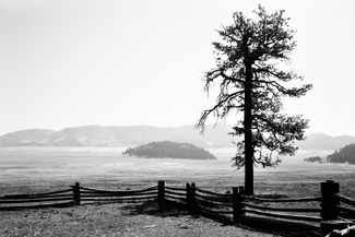 Valles Caldera Mist