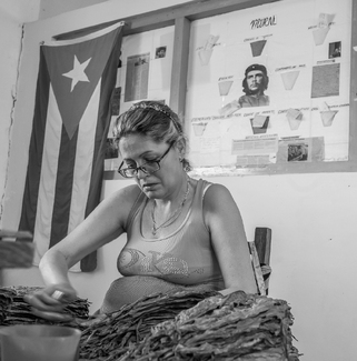 Tobacco Worker Tobacco Worker