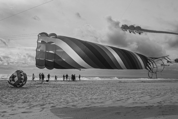 Kites on The Beach