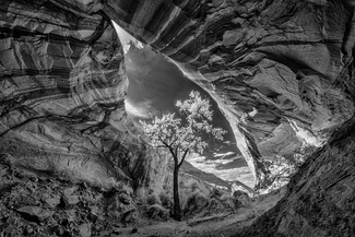 Cat Eye Cave Cat Eye Cave