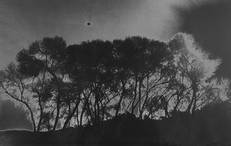 Intimate Conversation 22: Dark Side of Moon Intimate Conversation 22: Dark Side of Moon