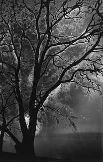 Intimate Conversation 6: Moonrise Intimate Conversation 6: Moonrise