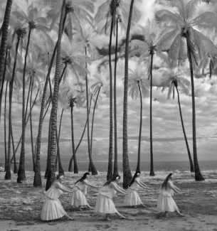 Hula Niu, Dance of the Palms