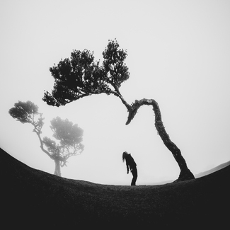 Master of puppet Master of puppet