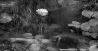 Dreaming Under Water Dreaming Under Water