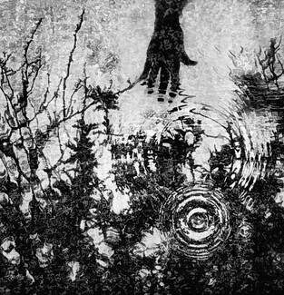 Stirring up Reflections Stirring up Reflections