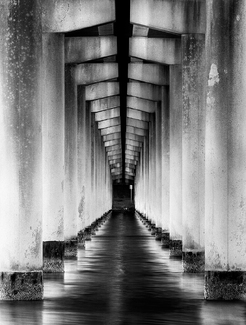 Under the Causeway Under the Causeway