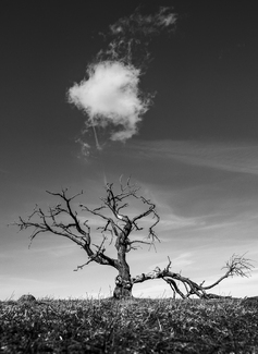 He needs the rain He needs the rain