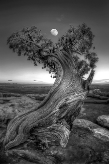 Night guardian of the Valley Night guardian of the Valley