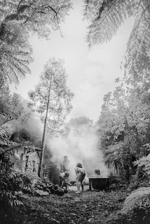 Bathtime New Zealand Bush