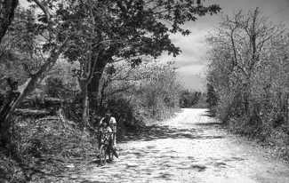 Back From School Back From School