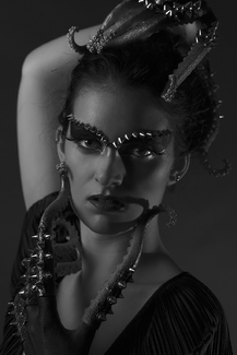 Miss Tentacles Miss Tentacles