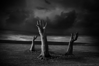 Requiem In Tone Requiem In Tone