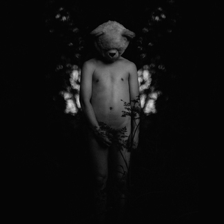 Bear in Butterfly Wings Bear in Butterfly Wings