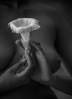 Moon Flower Moon Flower