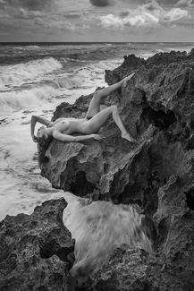 Dreamwaves Dreamwaves