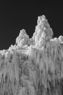 Ice covered trees, shore of Lake Superior.