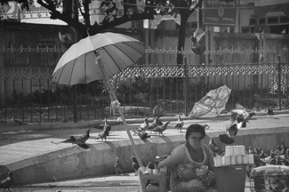 Woman Selling Birds for Good Luck