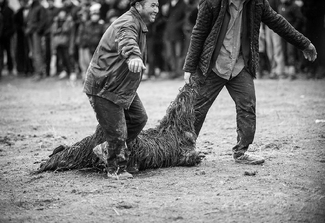 Buzkashi Cleanup