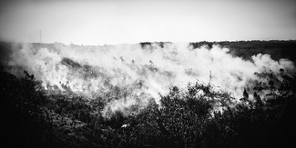 Ninety Percent of Madagascar's Forests Have Been Destroyed Ninety Percent of Madagascar's Forests Have Been Destroyed