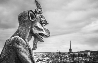 View From the Chimera View From the Chimera