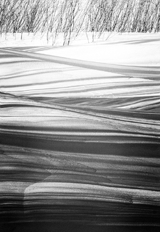 Snow Shadows