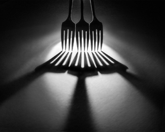 Forks meet Shadows Forks meet Shadows