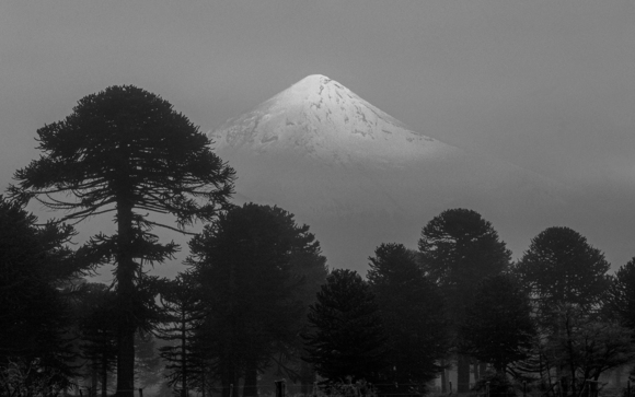 Mapuche Dawn