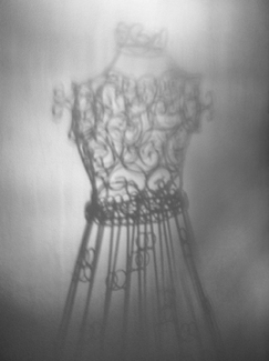 Cinderella's Dream Begins  Cinderella's Dream Begins