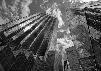 City Scape City Scape