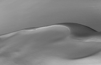 Into The Wild 1 Into The Wild 1