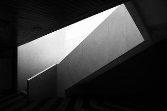 Sex in contrast Sex in contrast