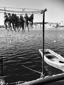 Lesvos Lesvos
