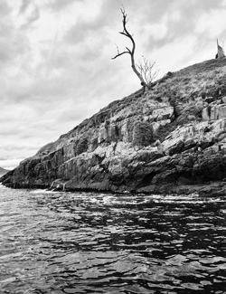 Tasmanian Coast Australia Tasmanian Coast Australia