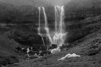 Transcendental Dream Transcendental Dream