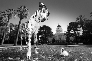 Gibson meets Booboo Gibson meets Booboo