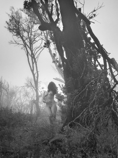 Nude in the forest Nude in the forest