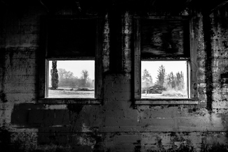 Morning Fog & Shadows Morning Fog & Shadows