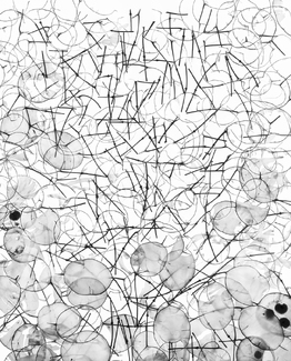 Honesty - After Piet Mondrian Honesty - After Piet Mondrian