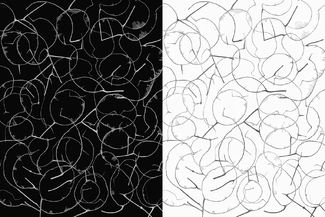 A Language in Black and White A Language in Black and White